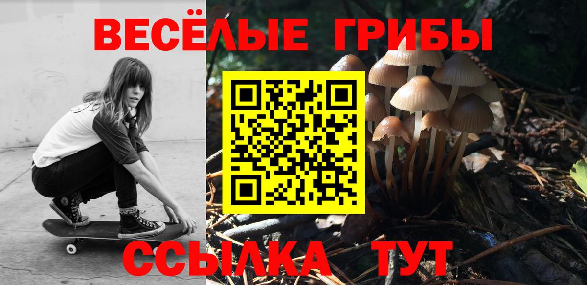 Галлюциногенные грибы Cubensis Благодарный