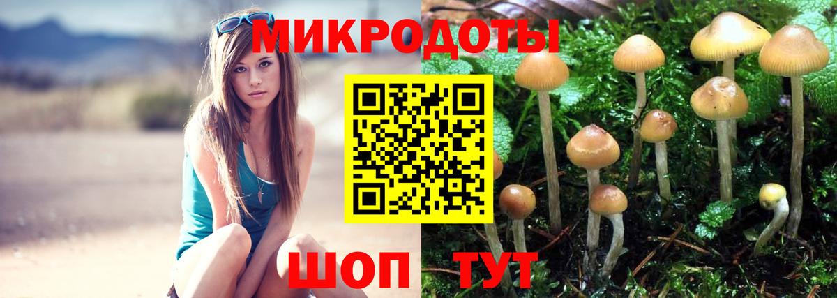 Благодарный  Галлюциногенные грибы GOLDEN TEACHER  Псилоцибиновые грибы MAGIC MUSHROOMS  Вход с VPN 